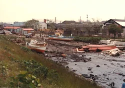 Earthquake in the sea of japan