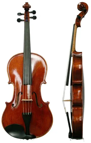 viola