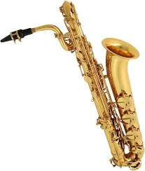 1st instrument Saxophone