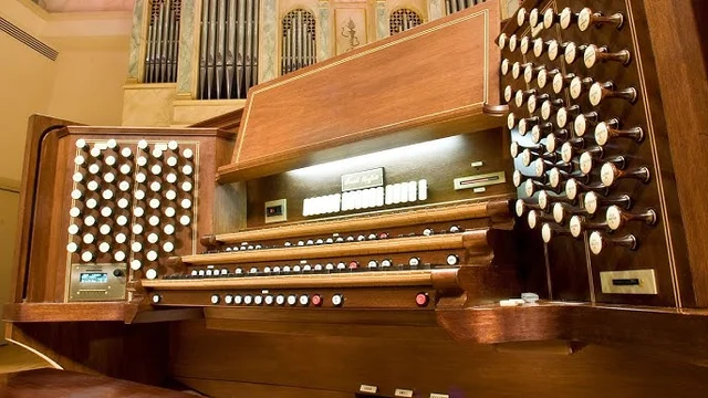 Organ