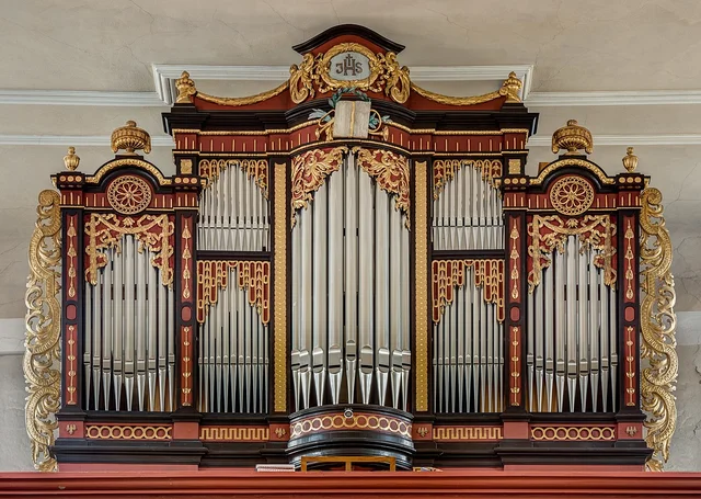 Organ