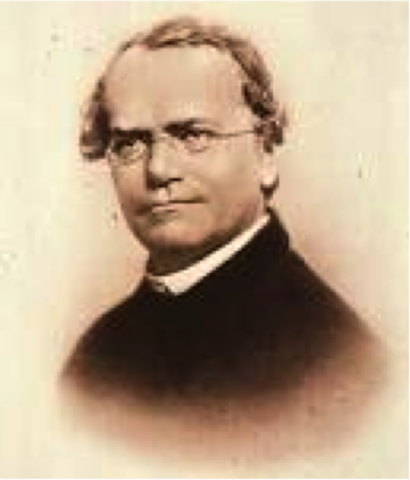 Mendel