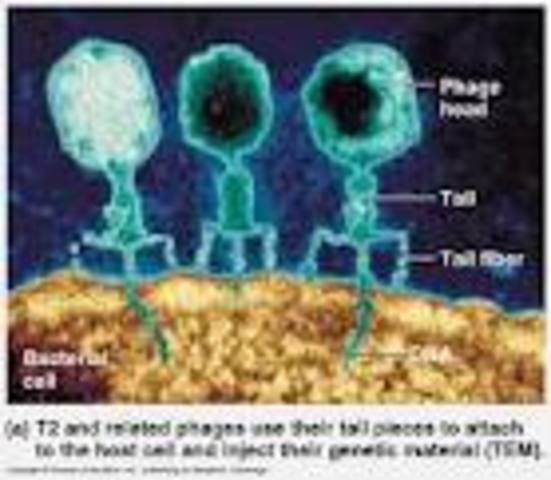 Confirming DNA as vessel for Inheritance