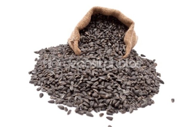 Mr Sir's Sunflower Seeds