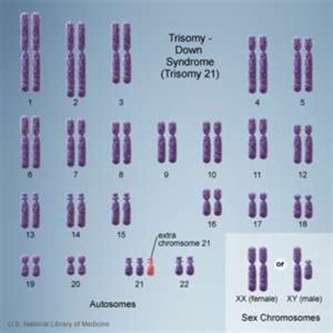 Chromosome Abnormalities Identified