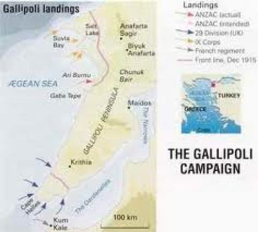 Allies launch Gallapoli Campaign