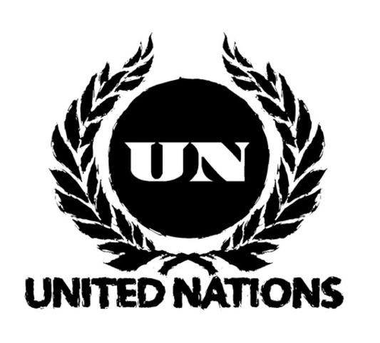The Development of the UN