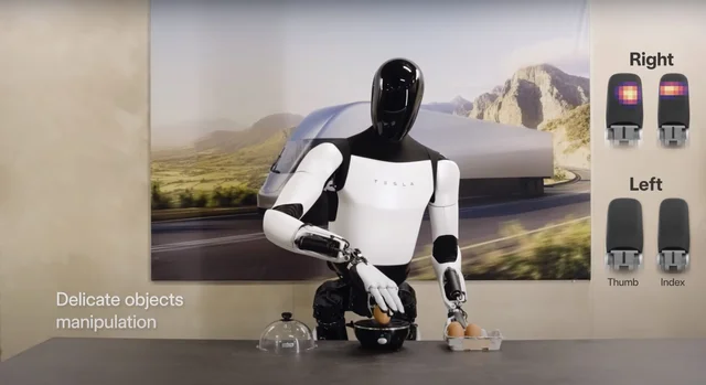 Tesla bot