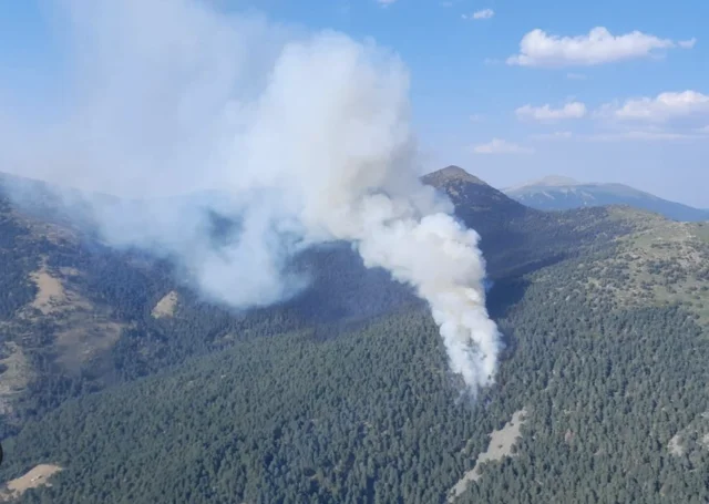 INCENDIO 1/AGOSTO DE 2024