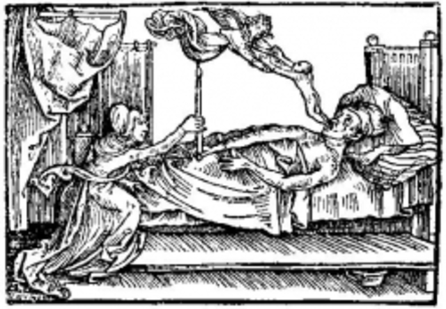 Smallpox spreads from India to Europe