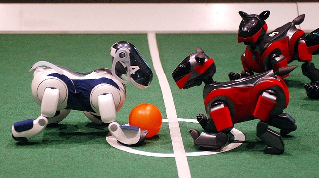 first rebo cup soccer