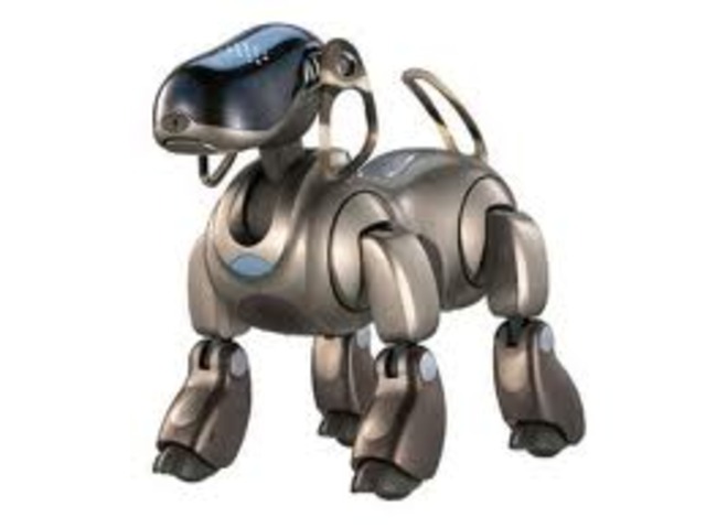 Interactive robot pets
