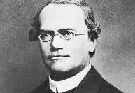 Gregor Johann Mendel