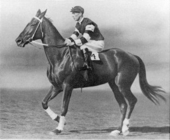 Phar Lap dies in the USA