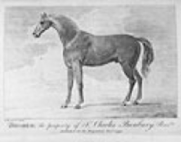 English racing legend Diomed is imported.