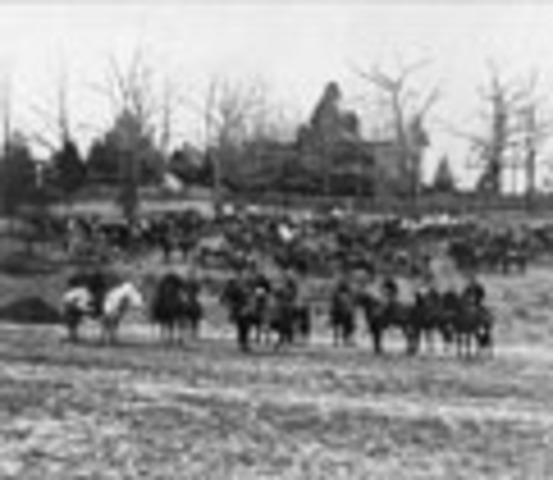 Civil War destroyed Thoroughbred breeding centers.