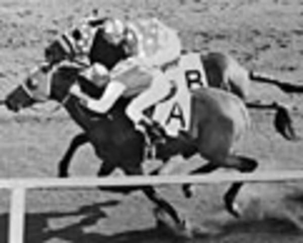 Seabiscuit wins the Hollywood Gold Cup