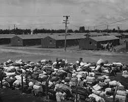 Liberation of concentration camps