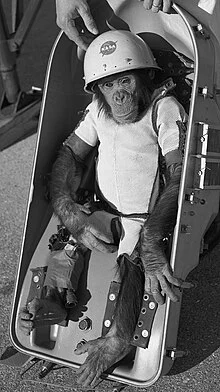 First Chimpanzee performing tasks in space