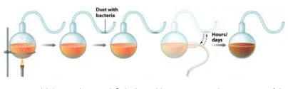 Pasteur puts spontaneous generation to rest