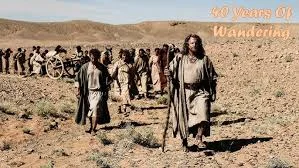 Wandering in the Wilderness