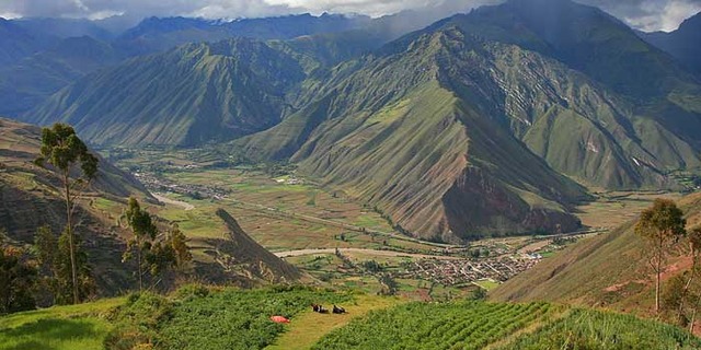 Desire for Independence