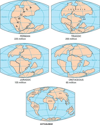 Theory of Continental Drift