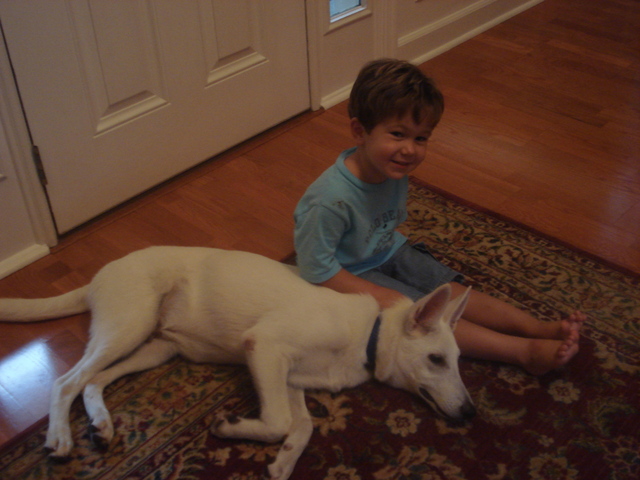 Carsons 1st Dog - Samson