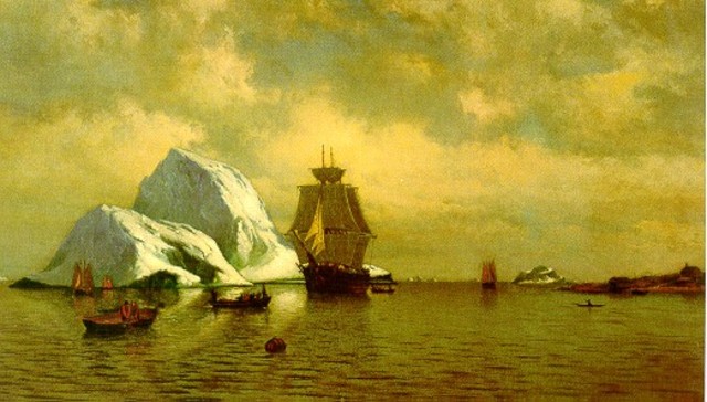 The Life of William Bradford Part II