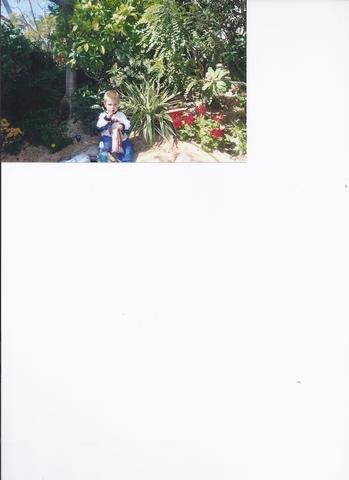 First Vacation DisneyWorld