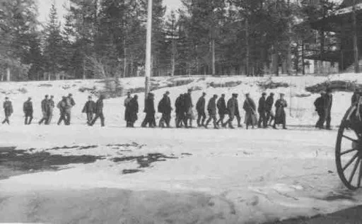 Ukrainian internees picture