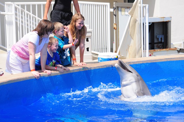 Mini Vacation Day to Marineland