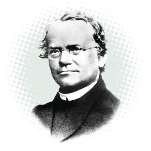 Discovery of Gregor Mendel’s Laws of Inheritance