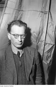 The Rise of Molecular Phylogenetics