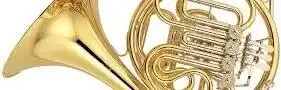 French horn