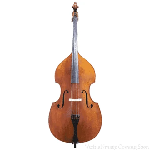 Double Bass