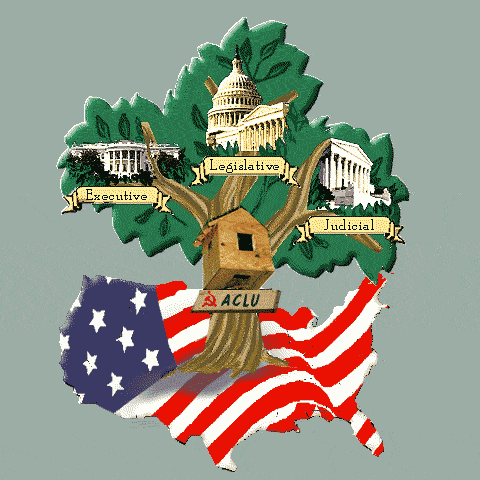 Branches of government