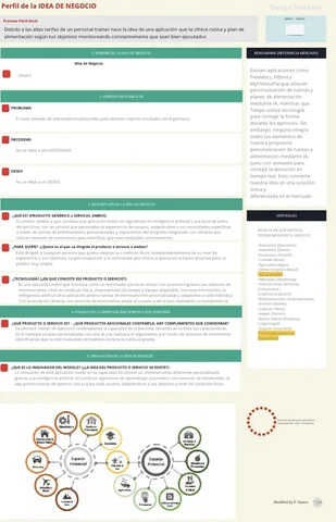 Perfil de la idea de negocio