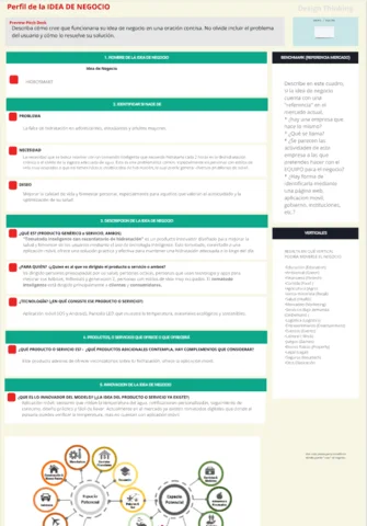 Perfil de la idea de negocio