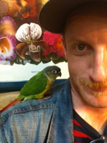 Nala enters our life