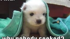 Timeline: My Reading Log 2012