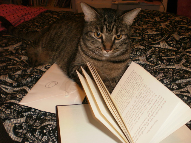 Madeline Reads Her First Book