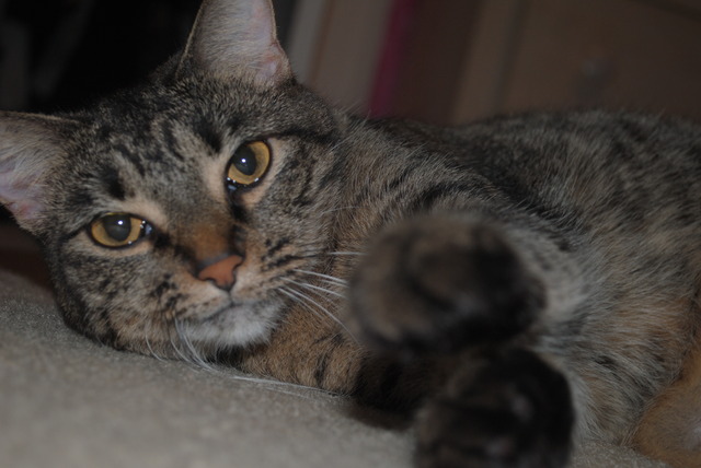 Madeline Discovers Her Passion for Modeling