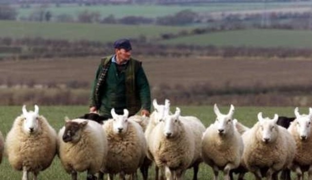 Empieza a trabajar como pastor