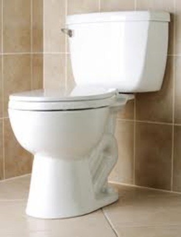 Invention of the Flush Toilet