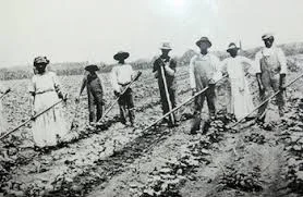 Sharecropping to Jim Crow Laws