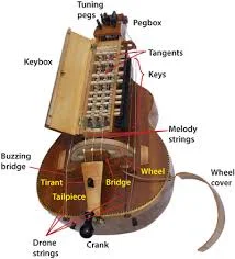 Hurdy gurdy