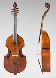 Viola