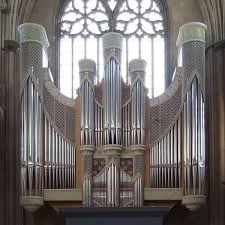 Organ