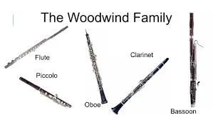 woodwind